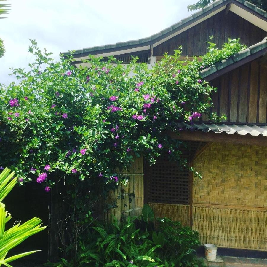 Phoxay Ngam Resort Vang Vieng Eksteriør bilde